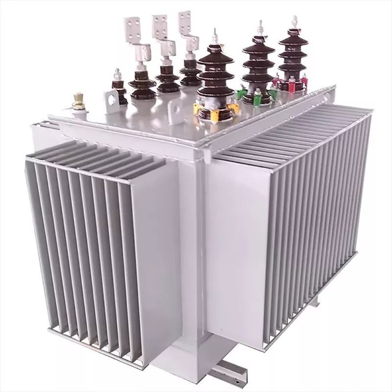 Maiztasun handiko 1.000 kVA-ko olio bidezko transformadore trifasikoa